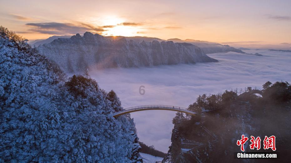 2022年12月份买的新能源汽车一月份上牌要交车购税吗？